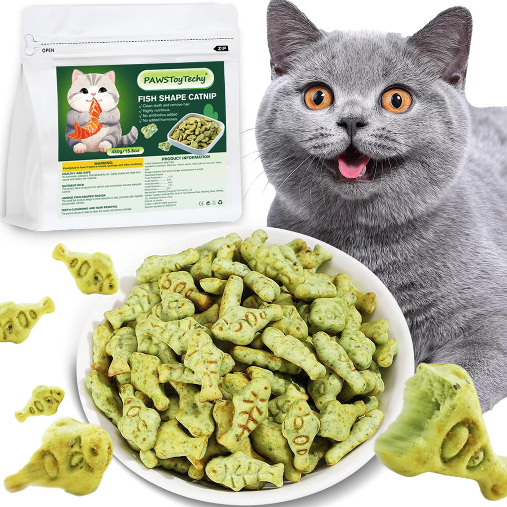 PAWSToyTechy Cat Hairball Treats 450g Kitty Teeth Cleaning Catnip for Indoor 16 Oz Fish Shape Cat Nip Dry Food Healthy Chicken and Salmon Flavor Grass Biscuits
